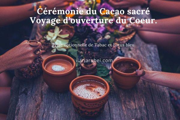 image de l'annonce 50430