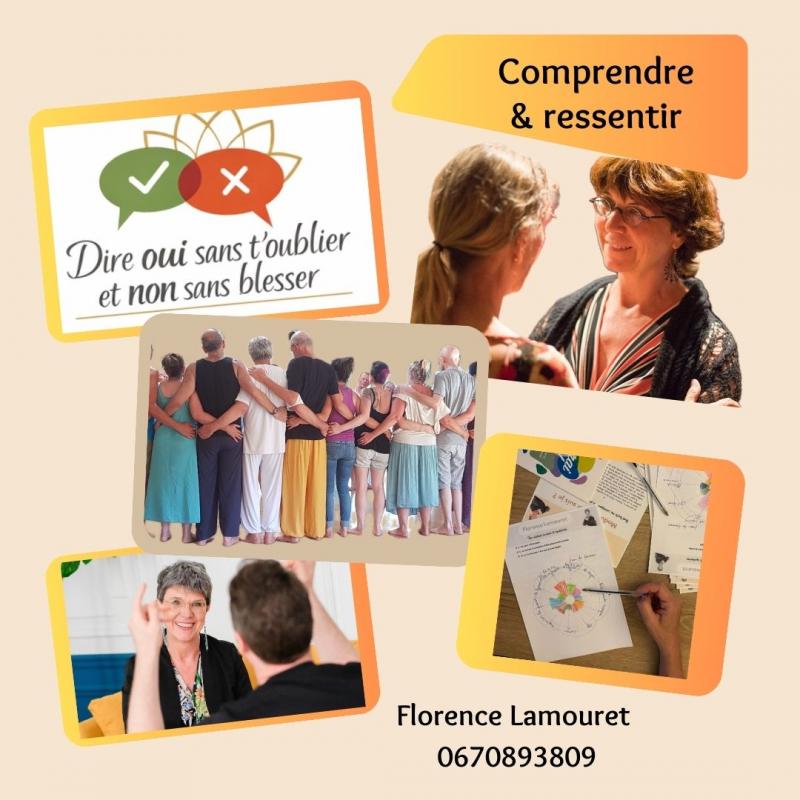 image de l'annonce 51386