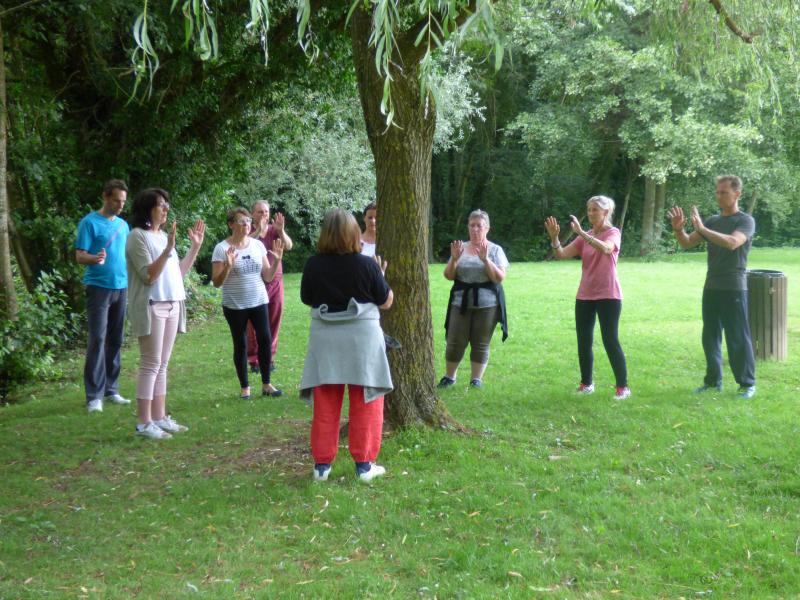 image de l'annonce 51487