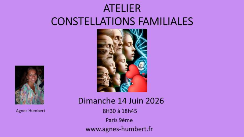 image de l'annonce 51608