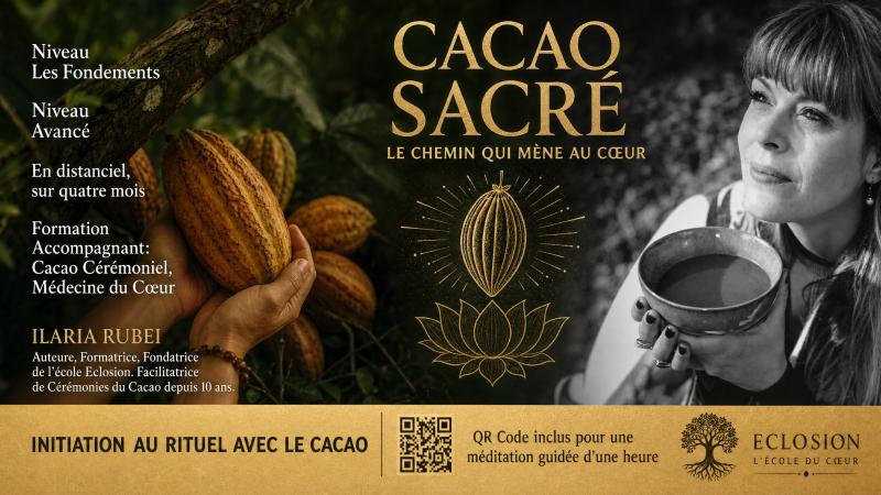 image de l'annonce 49151