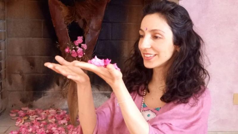 image de l'annonce 0