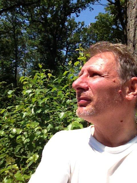 image de l'annonce 50308